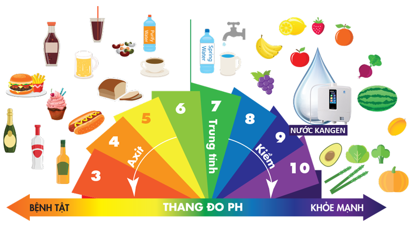 Thang đo pH chỉ ra tính axit và tính kiềm của các loại thực phẩm hàng ngày
