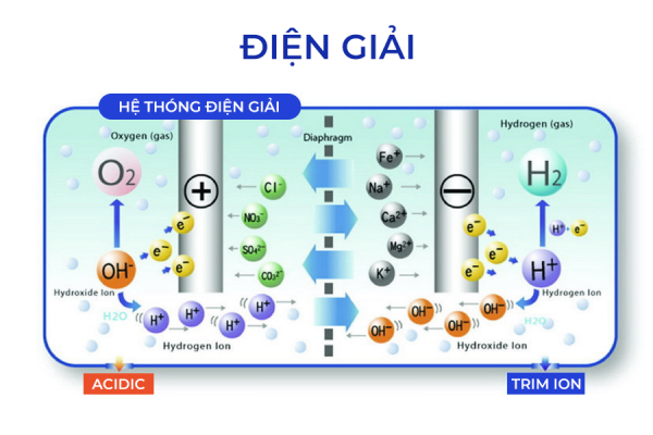 Quy trình điện phân nước của Trim ion Gracia
