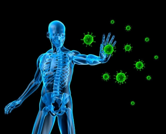 Vai trò của canxi đối với hệ miễn dịch